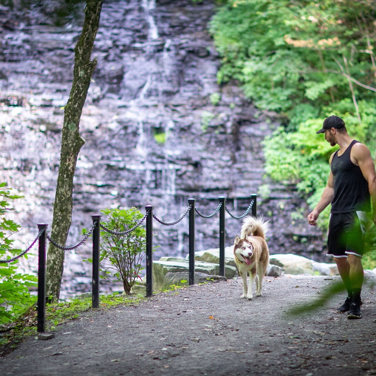 man walking with his husky at waverly glen park next to waterfall